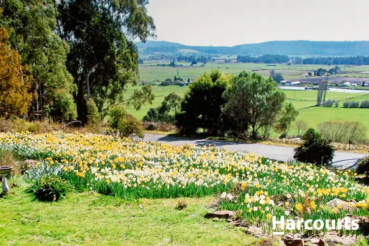 Fourth view of Homely rural property listing, 124 Jackeys Marsh Road, Meander TAS 7304