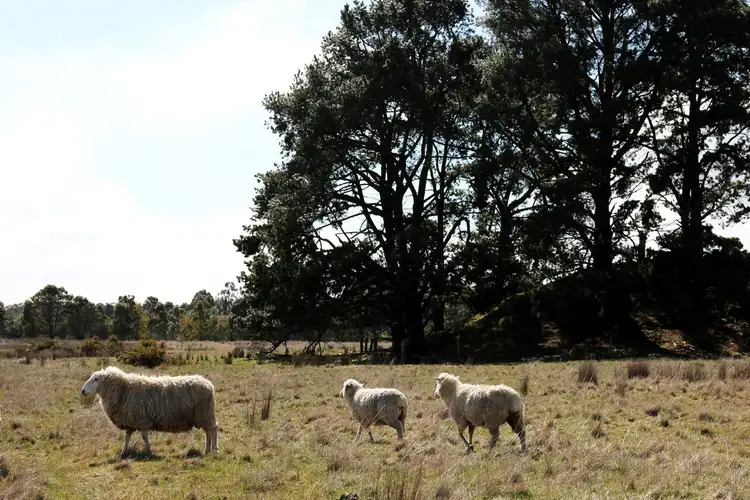 Third view of Homely land listing, Lot 12 Spittle Road, Creswick VIC 3363