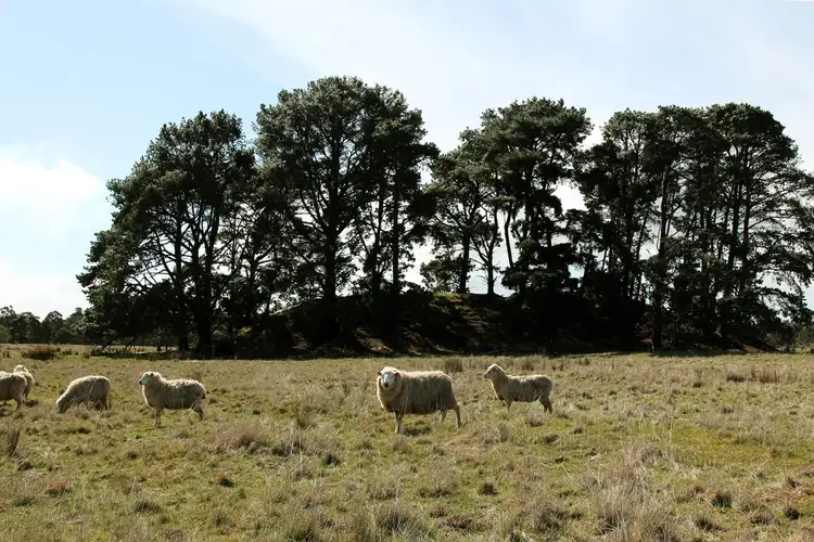 Fourth view of Homely land listing, Lot 12 Spittle Road, Creswick VIC 3363