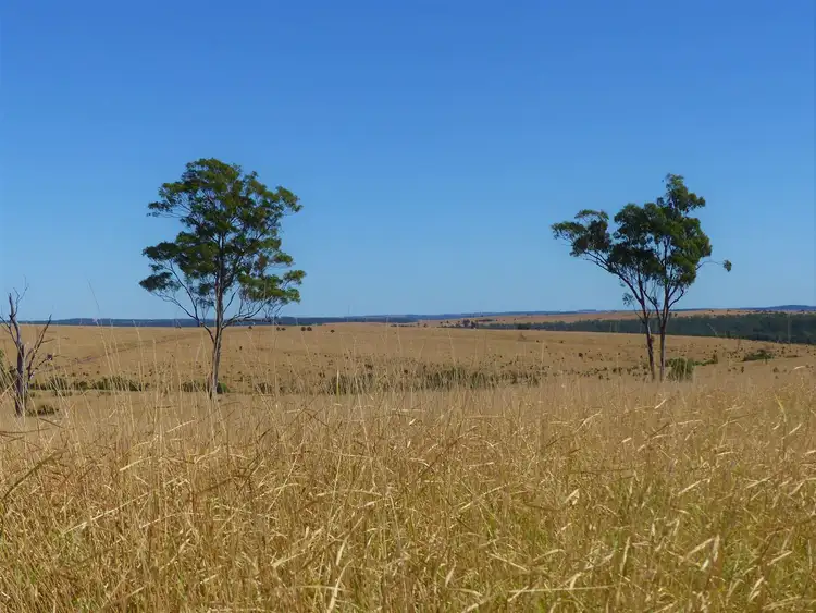 Third view of Homely rural property listing, . "Kilto", Wandoan QLD 4419
