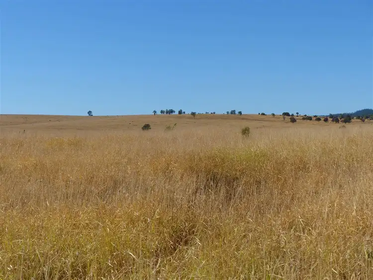 Fourth view of Homely rural property listing, . "Kilto", Wandoan QLD 4419