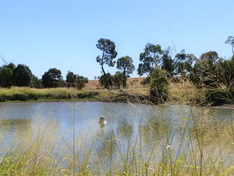 Sixth view of Homely rural property listing, . "Kilto", Wandoan QLD 4419