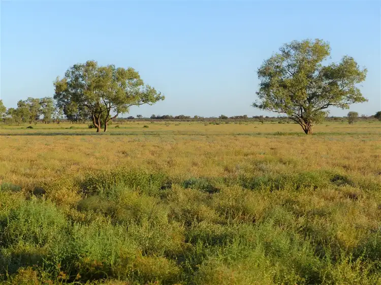 Second view of Homely rural property listing, . "Yambutta", Quilpie QLD 4480