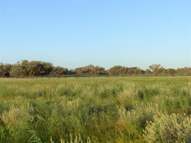 Fourth view of Homely rural property listing, . "Yambutta", Quilpie QLD 4480