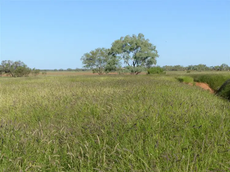 Sixth view of Homely rural property listing, . "Yambutta", Quilpie QLD 4480