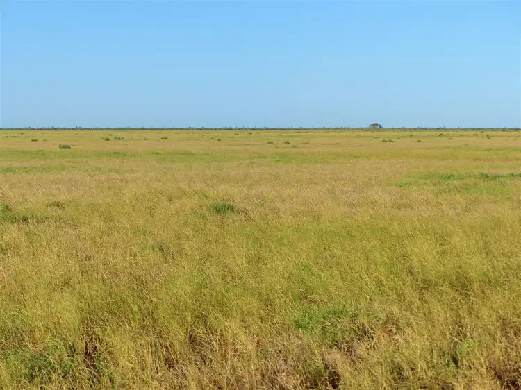 Seventh view of Homely rural property listing, . "Yambutta", Quilpie QLD 4480