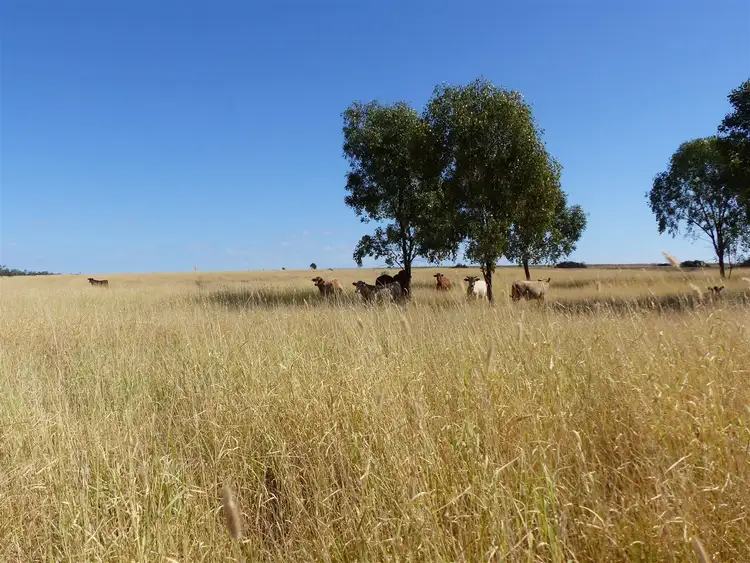 Sixth view of Homely rural property listing, . Hoolah Creek, Roma QLD 4455