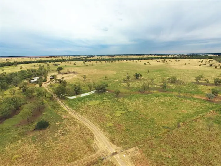 . "Spring Grove", Roma QLD 4455