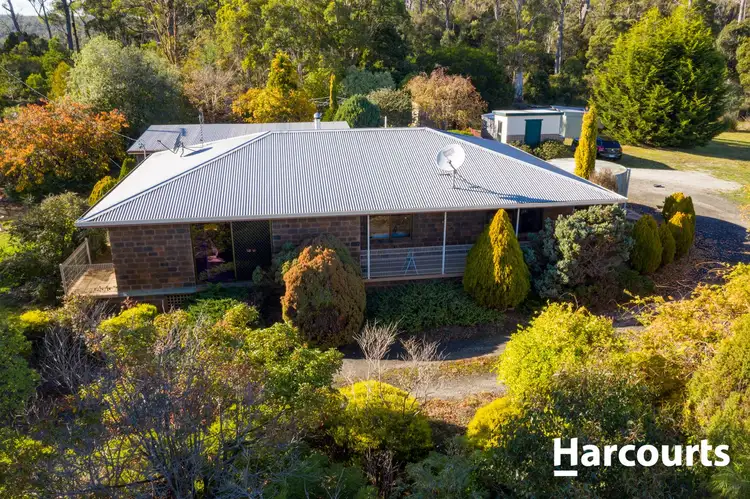 981 Jensen's Road, Scottsdale TAS 7260