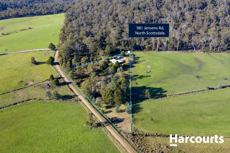 Second view of Homely house listing, 981 Jensen's Road, Scottsdale TAS 7260
