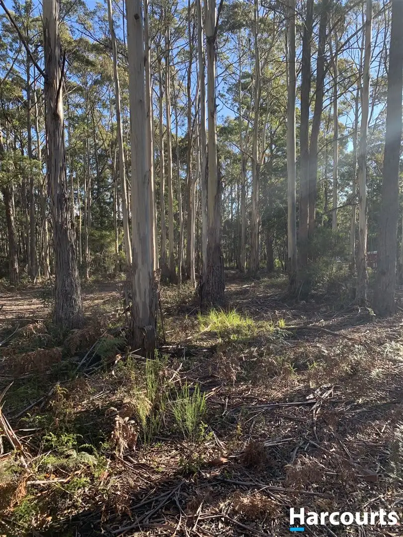 Main view of Homely land listing, PID 3039189 Irish Town Road, St Marys TAS 7215