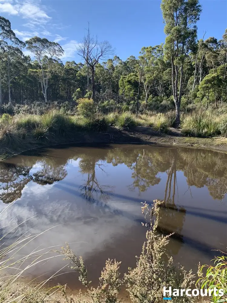 Second view of Homely land listing, PID 3039189 Irish Town Road, St Marys TAS 7215