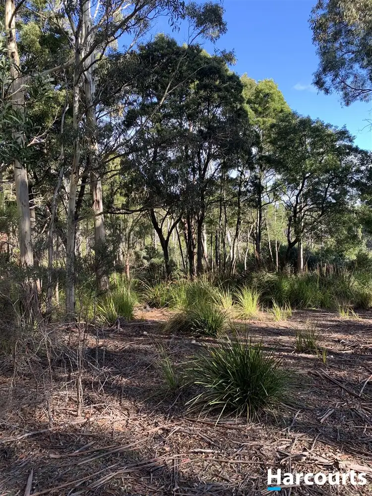 Third view of Homely land listing, PID 3039189 Irish Town Road, St Marys TAS 7215