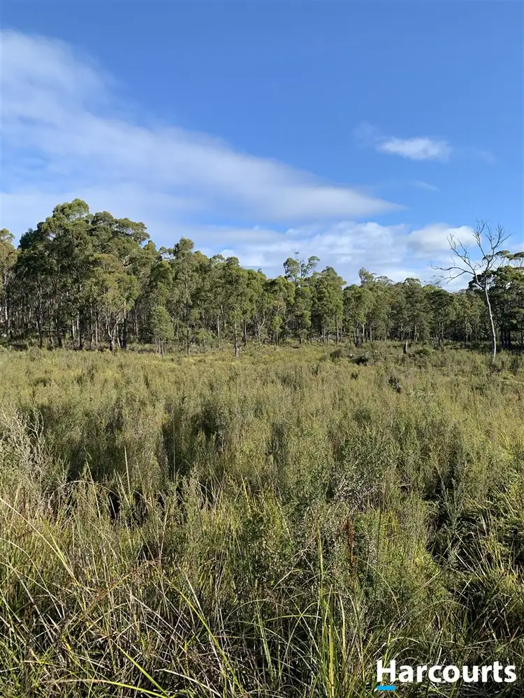 Fourth view of Homely land listing, PID 3039189 Irish Town Road, St Marys TAS 7215