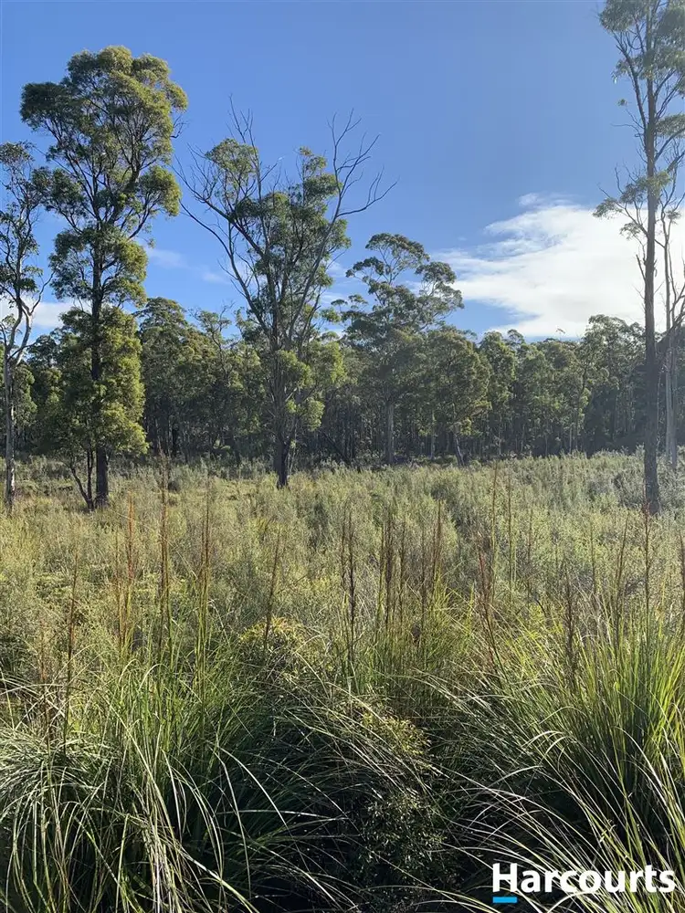 Fifth view of Homely land listing, PID 3039189 Irish Town Road, St Marys TAS 7215