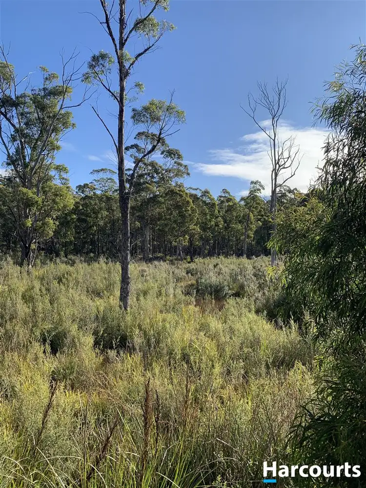 Sixth view of Homely land listing, PID 3039189 Irish Town Road, St Marys TAS 7215