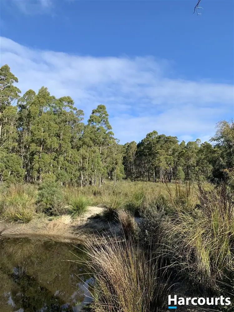 Seventh view of Homely land listing, PID 3039189 Irish Town Road, St Marys TAS 7215