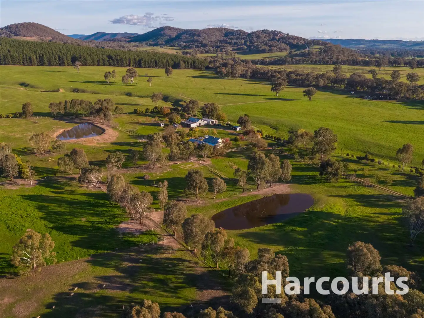 Main view of Homely rural property listing, 558 Moyhu-Meadow Creek Road, Meadow Creek VIC 3678