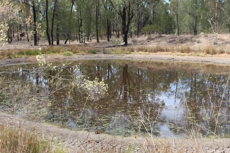Fourth view of Homely rural property listing, 6114 Toowoomba-Karara Road, Leyburn QLD 4365