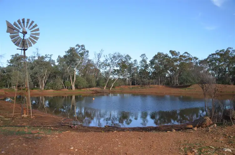 Seventh view of Homely rural property listing, * Glenvue, Cobar NSW 2835