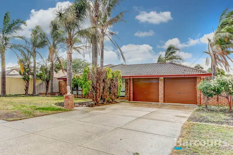 Main view of Homely house listing, 64 Winterfold Road, Samson WA 6163