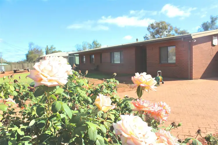 19 lamrock street, Cobar NSW 2835