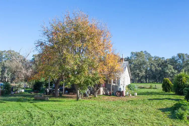 Sixth view of Homely rural property listing, 137 Taylors Lane, Wangaratta VIC 3677