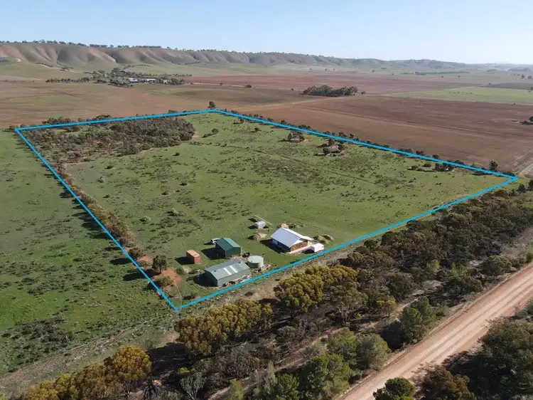 Main view of Homely rural property listing, S406/787 Stock Route Road, Robertstown SA 5381