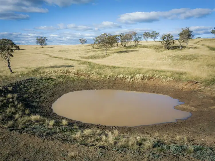 Fifth view of Homely rural property listing, . 'Fernleigh', Black Creek Rd, Blackville via, Quirindi NSW 2343