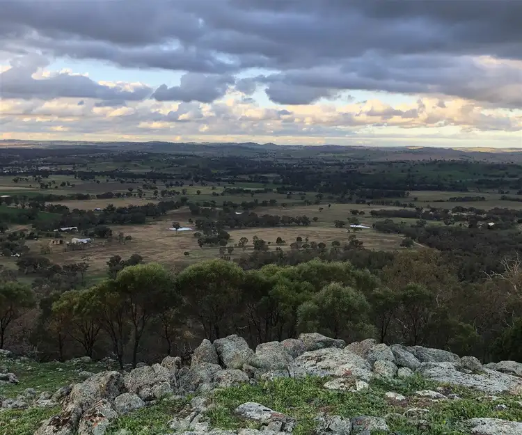 Sixth view of Homely rural property listing, 360 Back Brawlin Road, Cootamundra NSW 2590