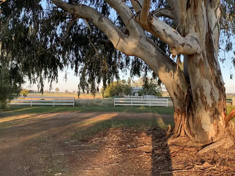 Lots 1 & 35 Hindhaugh Street, Yerong Creek NSW 2642