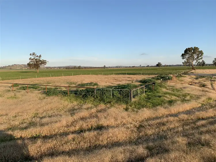Sixth view of Homely rural property listing, Lots 1 & 35 Hindhaugh Street, Yerong Creek NSW 2642