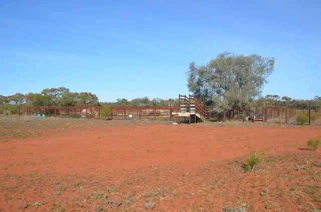 Third view of Homely rural property listing, * Kiama, Ivanhoe NSW 2878