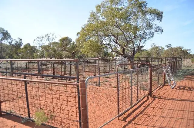 Sixth view of Homely rural property listing, * Kiama, Ivanhoe NSW 2878