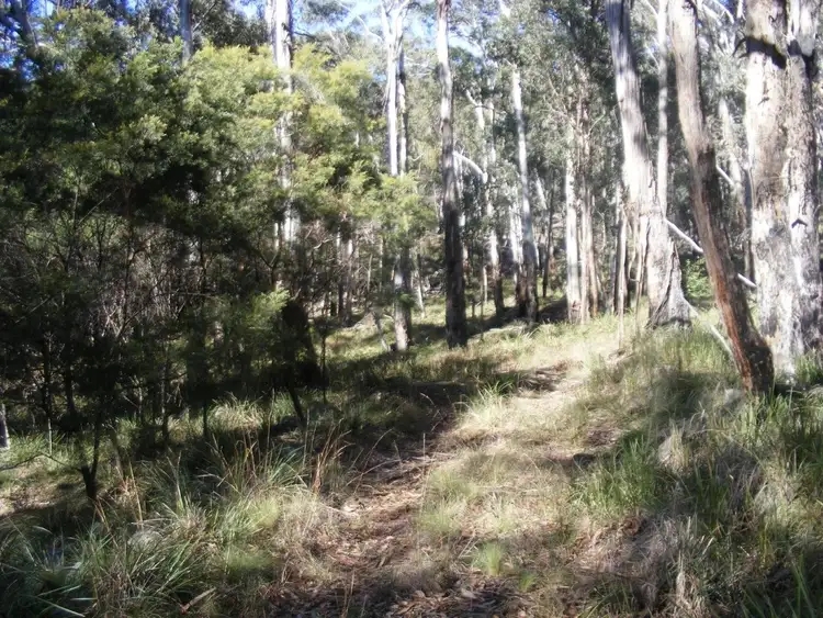 Third view of Homely rural property listing, 1000 Tablelands Road, Red Range NSW 2370