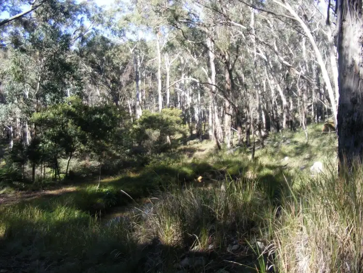 Fifth view of Homely rural property listing, 1000 Tablelands Road, Red Range NSW 2370