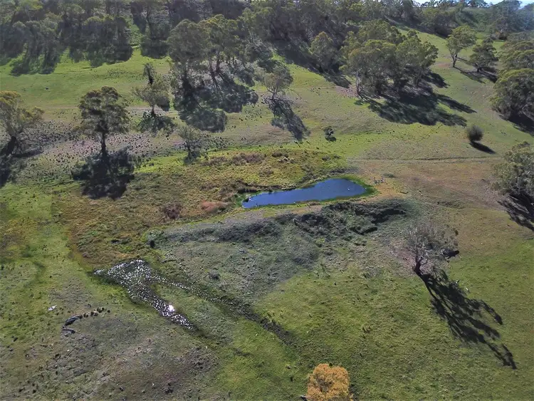 Fourth view of Homely rural property listing, 71 Elton Road, Bombala NSW 2632