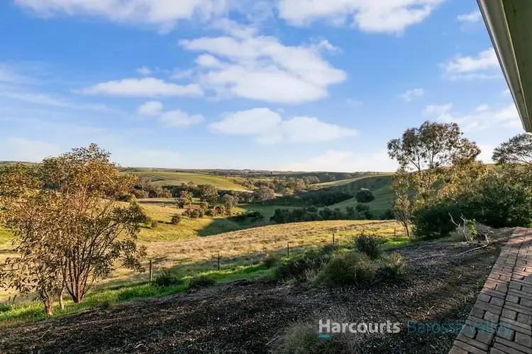 Fourth view of Homely rural property listing, 91 Noack Road, Lyndoch SA 5351