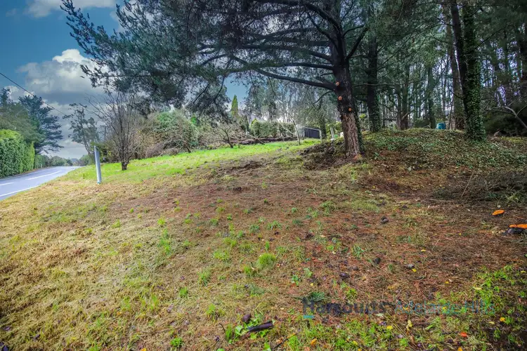 Fifth view of Homely land listing, 562 Piccadilly Road, Summertown SA 5141