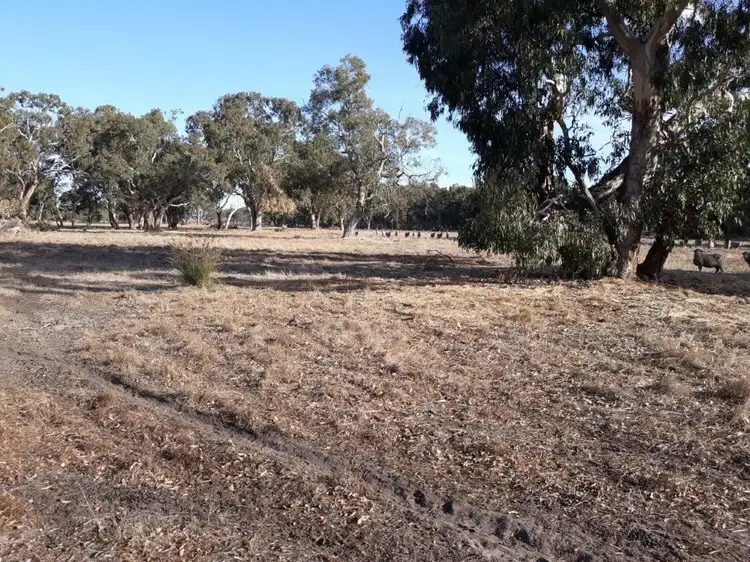 Lot 101 Dandaragan Road
