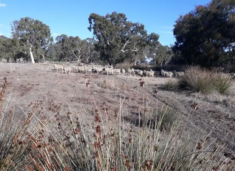 Second view of Homely rural property listing, Lot 101 Dandaragan Road, Dandaragan WA 6507