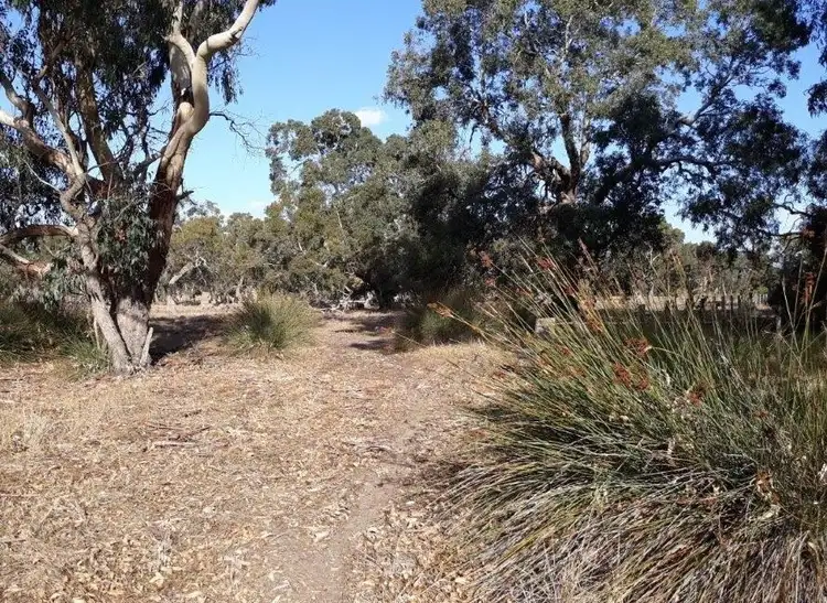 Third view of Homely rural property listing, Lot 101 Dandaragan Road, Dandaragan WA 6507