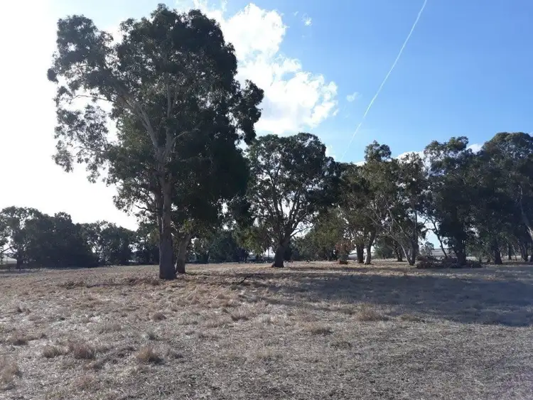 Fourth view of Homely rural property listing, Lot 101 Dandaragan Road, Dandaragan WA 6507