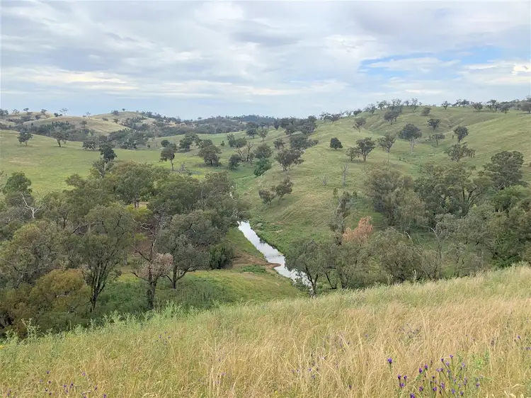 Main view of Homely rural property listing, ‘Totnes South’ Neurea Road, Wellington NSW 2820