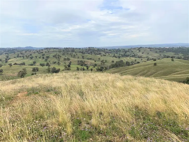 Second view of Homely rural property listing, ‘Totnes South’ Neurea Road, Wellington NSW 2820