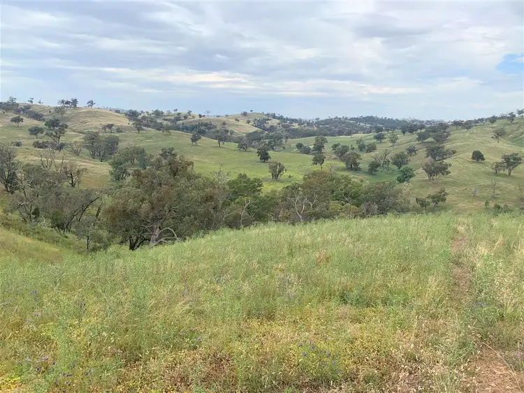 Third view of Homely rural property listing, ‘Totnes South’ Neurea Road, Wellington NSW 2820
