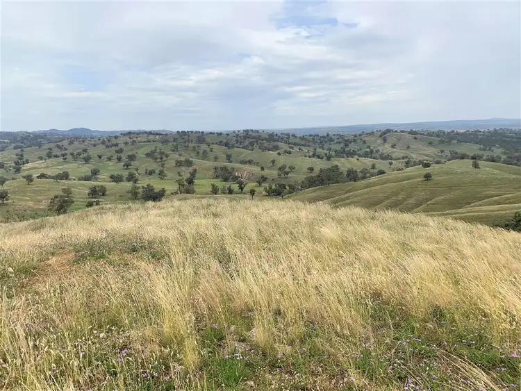 Fourth view of Homely rural property listing, ‘Totnes South’ Neurea Road, Wellington NSW 2820