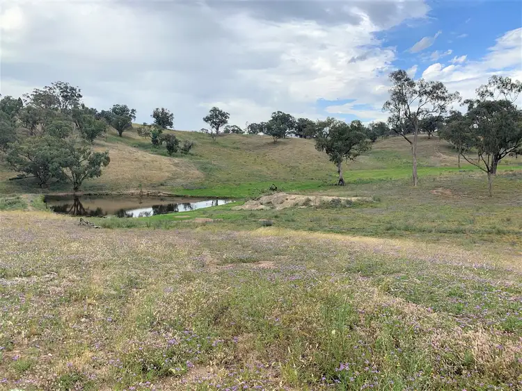 Sixth view of Homely rural property listing, ‘Totnes South’ Neurea Road, Wellington NSW 2820