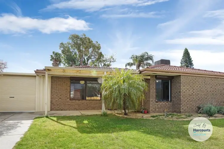 37 Gossamer Avenue, Mirrabooka WA 6061