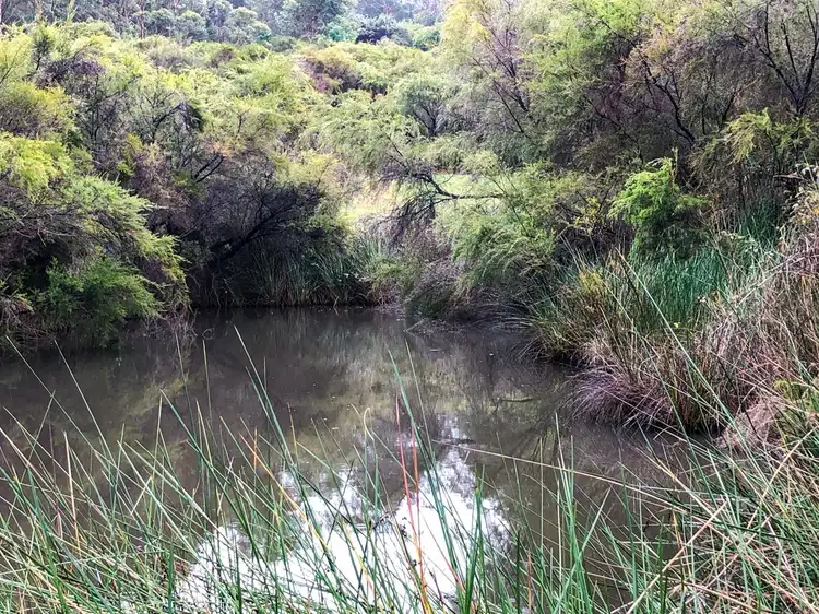 Third view of Homely rural property listing, 52 Craig View, Shadforth WA 6333